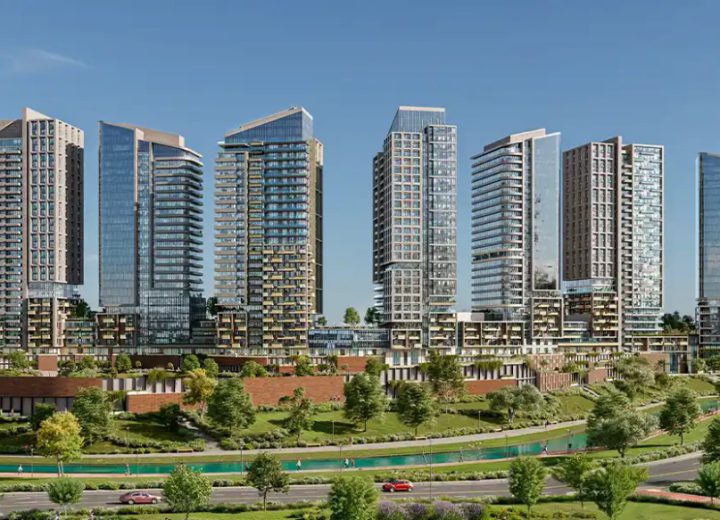 Architecture shaped by city and forest
